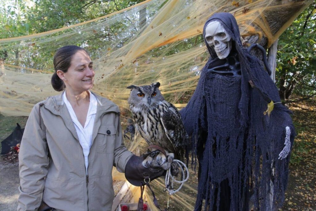 Spettacolo di falconeria durante le giornate di Halloween al Parco Oltremare di Riccione